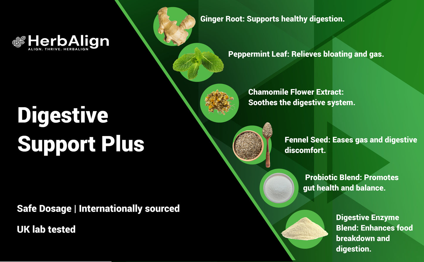 Herbalign Gas Support Plus Capsules – Natural Relief for Bloating & Digestive Health with Peppermint, Ginger, Fennel, Chamomile, Probiotics & Enzymes