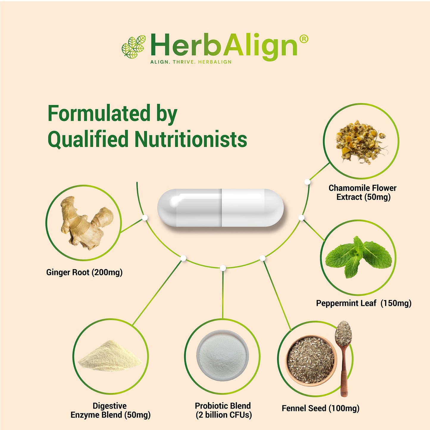 Herbalign Gas Support Plus Capsules – Natural Relief for Bloating & Digestive Health with Peppermint, Ginger, Fennel, Chamomile, Probiotics & Enzymes